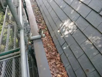 落ち葉が詰まっている雨樋